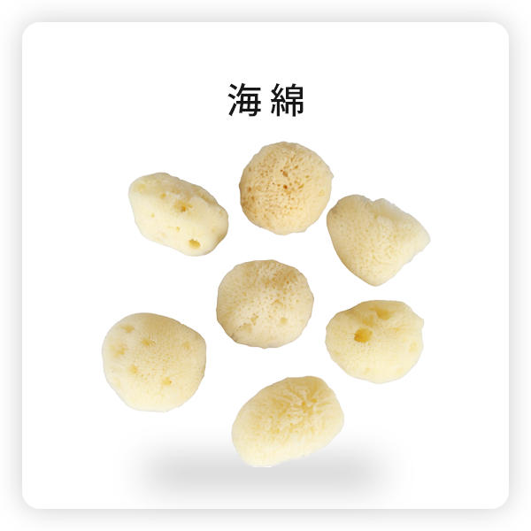 海綿