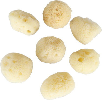 天然海綿シルク 10個 (約3～5cm)【受注販売品】